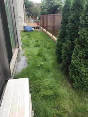 芝生が伸び放題だった施工前の庭
