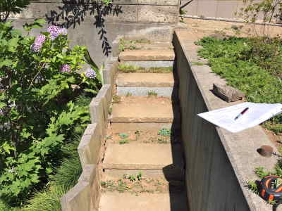 簡易的な庭から建物への階段とアプローチ