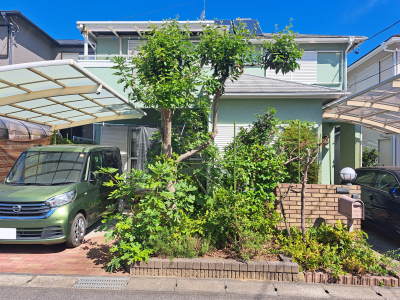 樹木が生い茂って道路から枝がはみ出た施工前