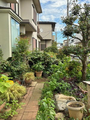 お手入れが大変だった施工前の庭