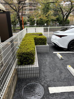 低木の植込みと花壇があった施工前の車庫