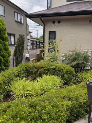 施工前のお庭の低木エリア