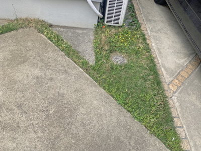 芝刈り機での除草が難しい隙間の雑草