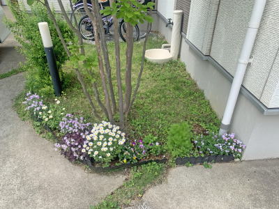 芝生と植栽、立水栓のリビング前エリア