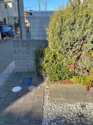 車庫側から見た生い茂った植栽に埋もれた機能門柱
