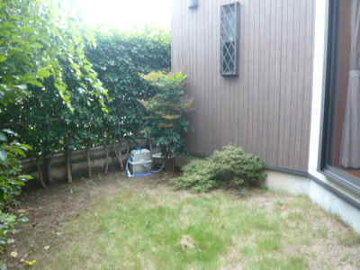 芝生敷きのお庭と目隠しの生垣、既存立水栓