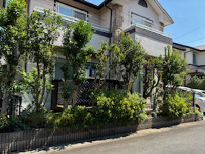施工前の樹木と天然木ウッドデッキの庭