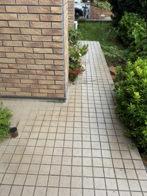 玄関側からの庭の様子