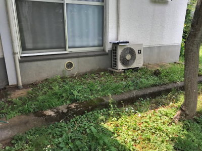 雑草が生い茂った和室前の庭
