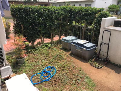 雑草のお手入れが大変だったリビング側の施工前の庭