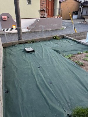 施工前の室内からの庭の様子